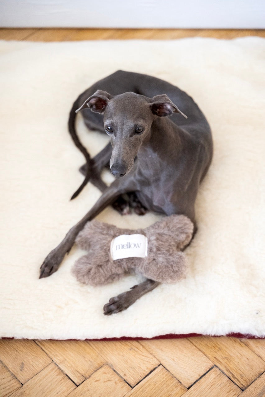 Natural Woolen Dog Toy - Bone - Charcoal-2