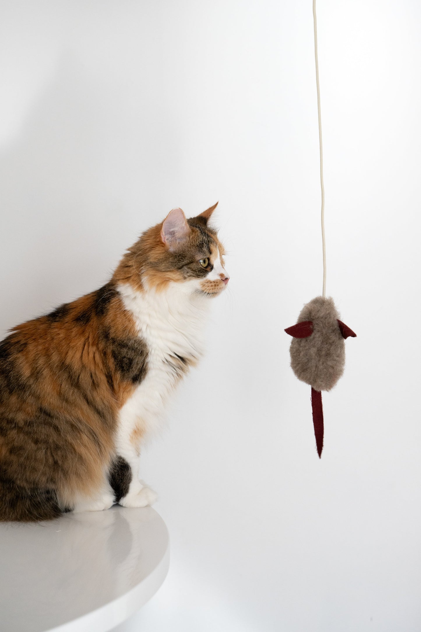 Natural Woolen Cat Toy: Mouse-0