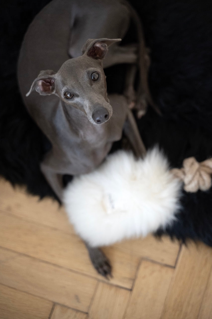 Natural Sheepskin Dog Tug Toy - White-0