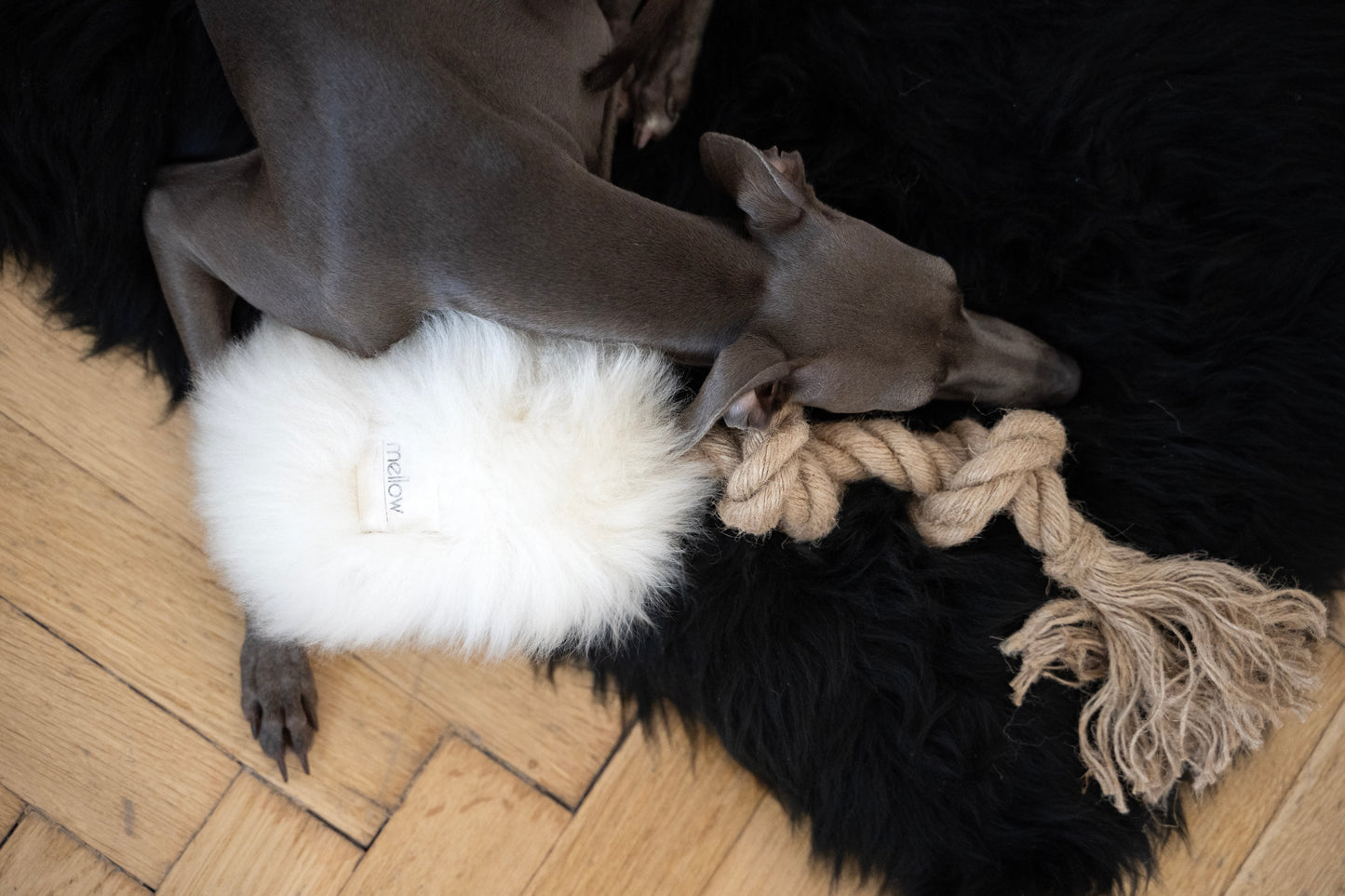 Natural Sheepskin Dog Tug Toy - White-2